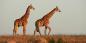 Garden_Route__Eastern_Cape_91012_124KB_110412