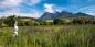 Cape_Winelands_91017_161KB_110412