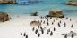 Boulder's Beach Cape_Town_91023_163KB_110412