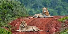 Other places to stay in South Africa