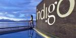 Indigo, Chile