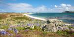 Tresco beach Flying Boat Cottages, United Kingdom, Tresco beach