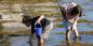 The_Scilly_Isles_94958_53KB_060712