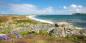 Tresco The_Scilly_Isles_94960_50KB_060712