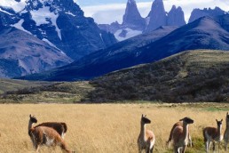 i-escape blog / Patagonia