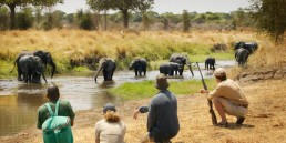 Why we love… Tanzanian safari camps