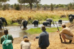 Why we love… Tanzanian safari camps