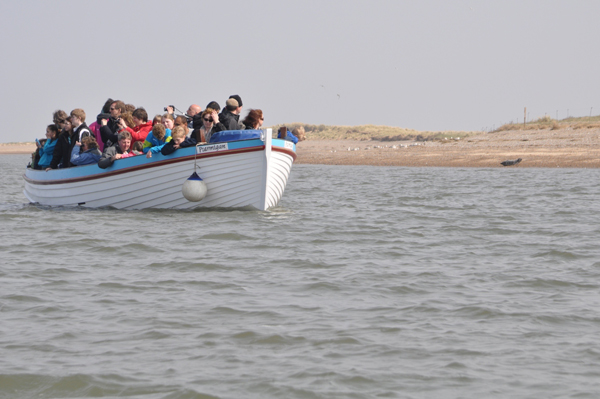 i-escape: Norfolk seal-watching boat trip