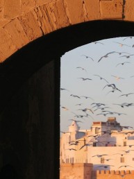 Back from… Essaouira