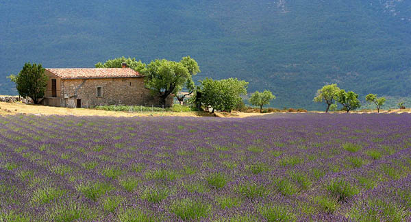 i-escape blog / Provence