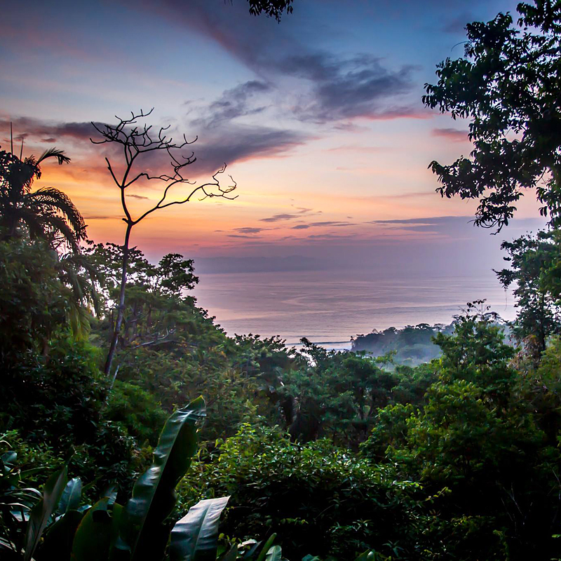 i-escape blog / Osa Peninsula Costa Rica