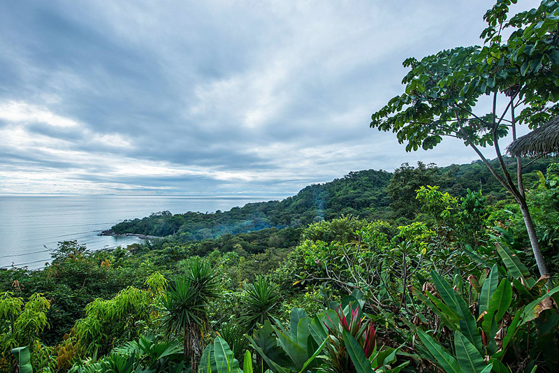 i-escape blog / Osa Peninsula Costa Rica