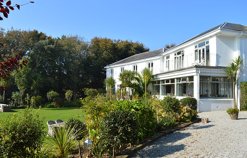 i-escape blog / Just back from dog-friendly hotels Cornwall / The Rosevine, Cornwall