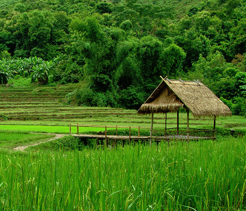 i-escape blog / Top tips for Laos