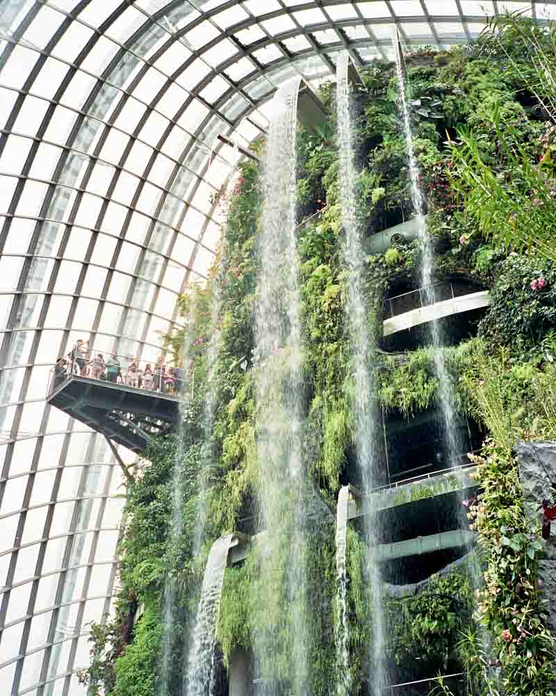 The i-escape blog / Top things to do in Singapore / Gardens by the Bay