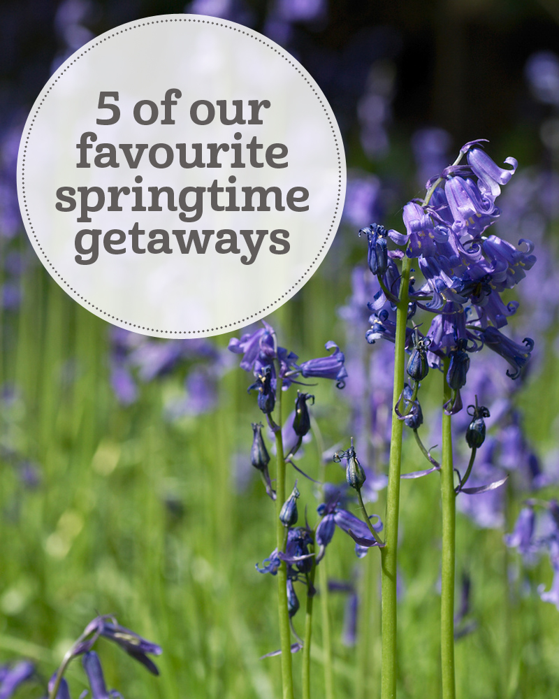 the i-escape blog / 5 of our favourite springtime getaways