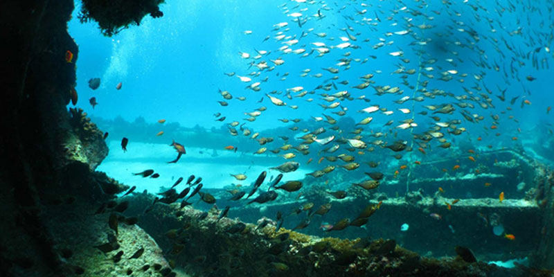 the i-escape blog / 6 stunning retreats for underwater advetures / Fundu Lagoon