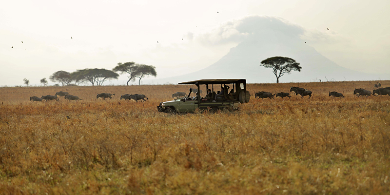 The i-escape blog / 6 lodges with wildlife on your doorstep / Game drives in Tarangire National Park