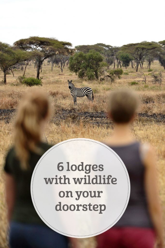 The i-escape blog / 6 lodges with wildlife on your doorstep