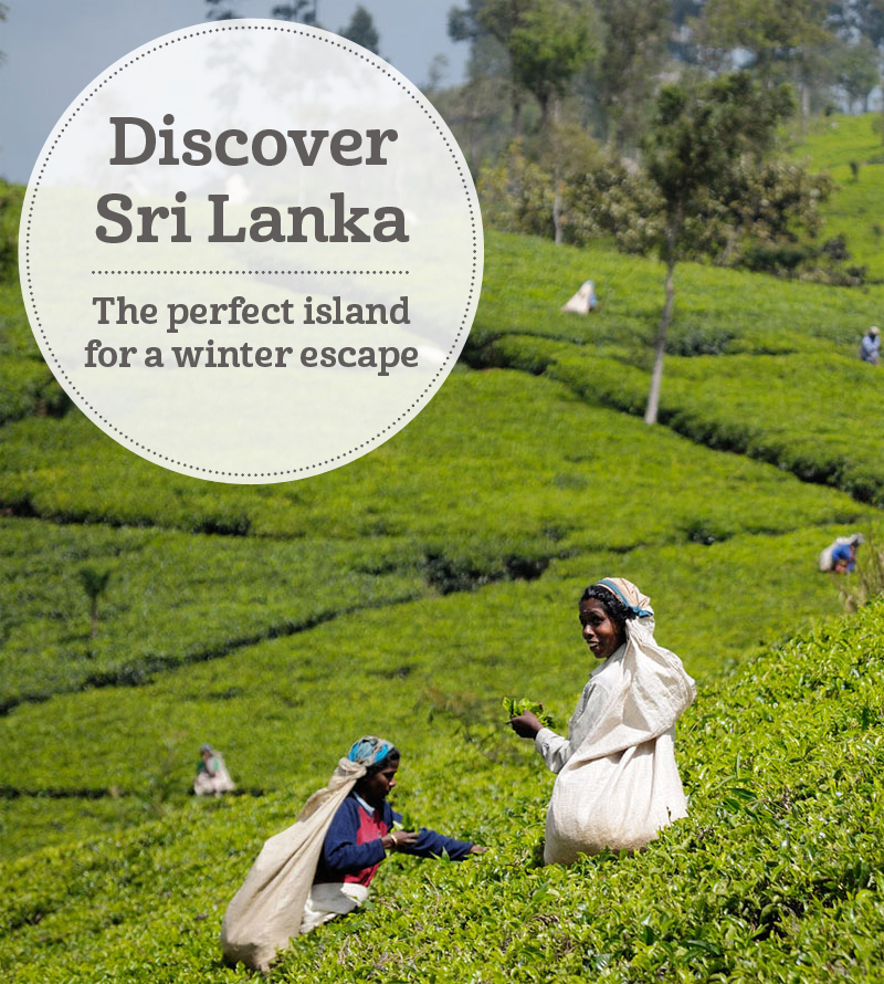The i-escape blog / Discover Sri Lanka: the perfect island for a winter escape