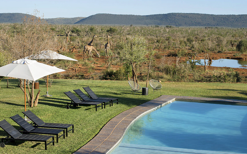 i-escape blog / Fabulous hotel pools for families / Madikwe Safari Lodge