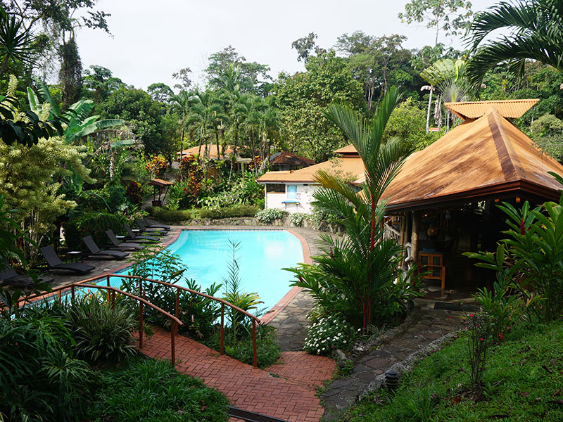 i-escape blog / Just Back From Costa Rica / Luna Nueva Lodge