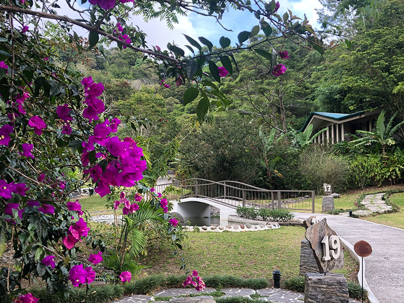 i-escape blog / Just Back From Costa Rica / Senda Monteverde
