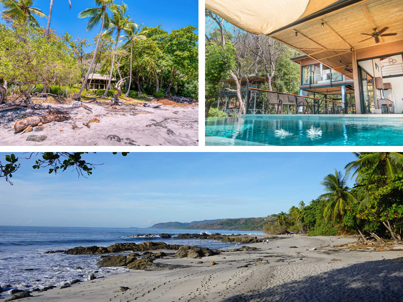 the i-escape blog / Jungle and beach destinations for really wild adventures / Cabo Blanco National Park, Costa Rica