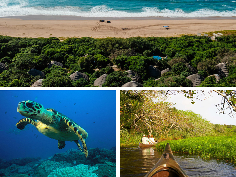 the i-escape blog / Jungle and beach destinations for really wild adventures / Maputaland, South Africa