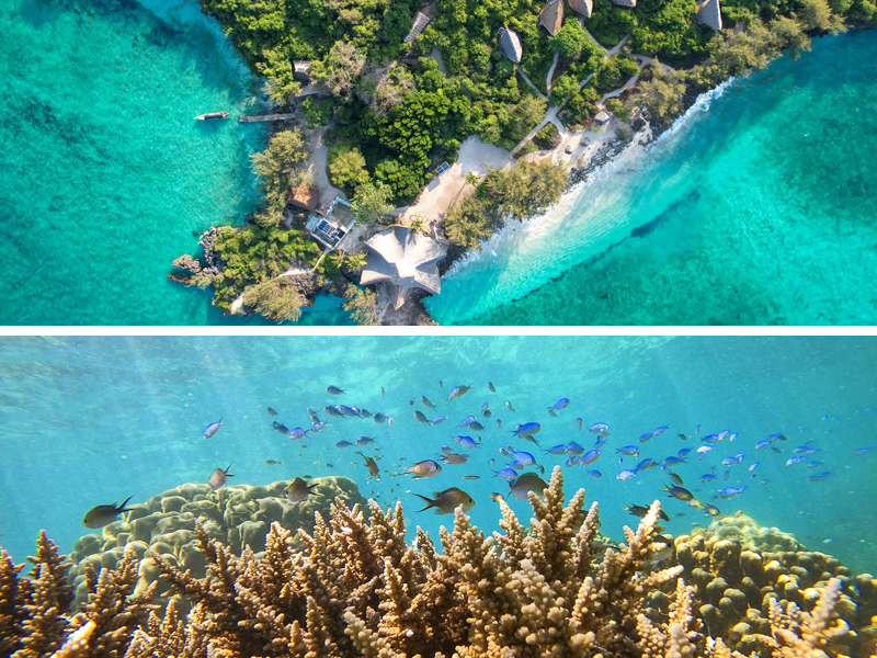 the i-escape blog / 12 sustainable hotels for greener holidays / Chumbe Island Coral Park
