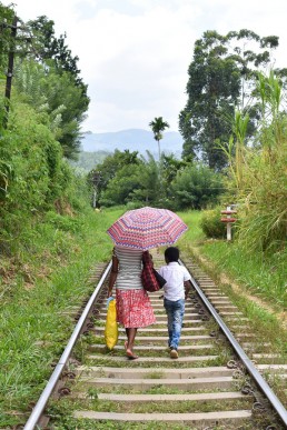 the i-escape blog / A honeymoon tour of Sri Lanka and the Maldives / Ella tea train