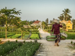 Farmer in Hoi An, Vietnam